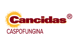 Logo Cancidas